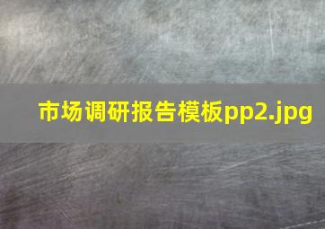 市场调研报告模板pp