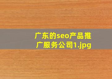 广东的seo产品推广服务公司