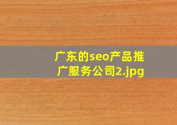 广东的seo产品推广服务公司