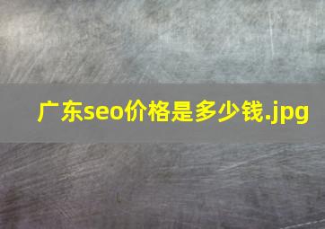 广东seo价格是多少钱