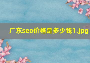 广东seo价格是多少钱