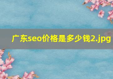 广东seo价格是多少钱