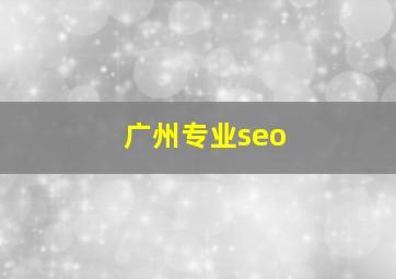 广州专业seo