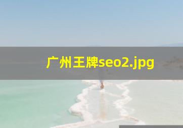 广州王牌seo