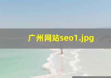 广州网站seo