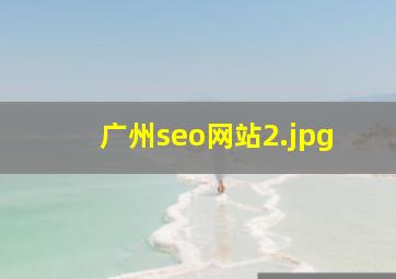 广州seo网站