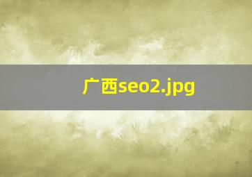 广西seo