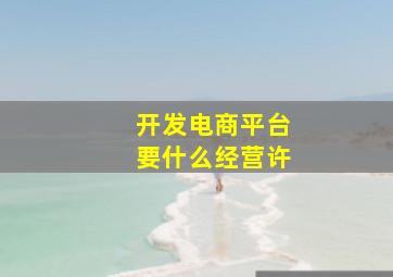 开发电商平台要什么经营许