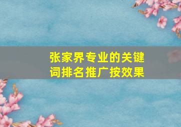 张家界专业的关键词排名推广按效果