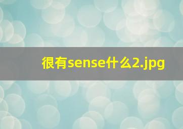 很有sense什么