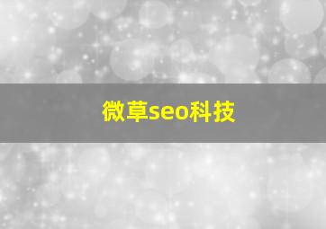 微草seo科技