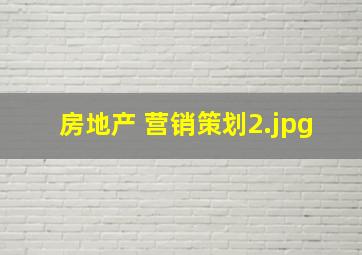 房地产 营销策划