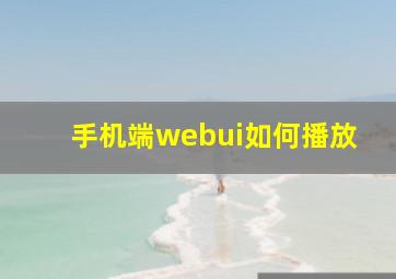手机端webui如何播放