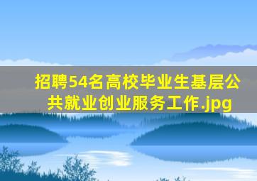 招聘54名高校毕业生基层公共就业创业服务工作