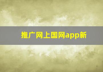 推广网上国网app新