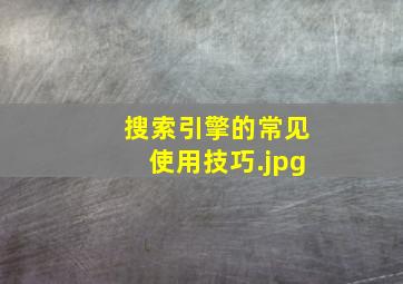 搜索引擎的常见使用技巧