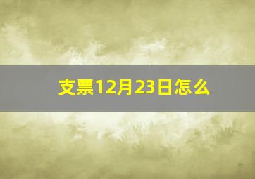 支票12月23日怎么