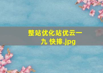 整站优化站优云一九 快排