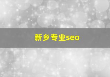 新乡专业seo