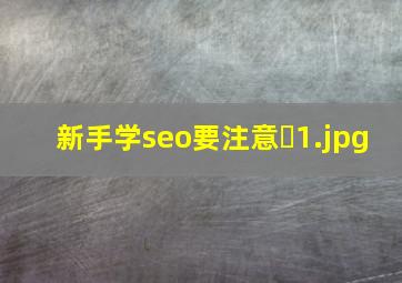 新手学seo要注意�