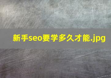 新手seo要学多久才能