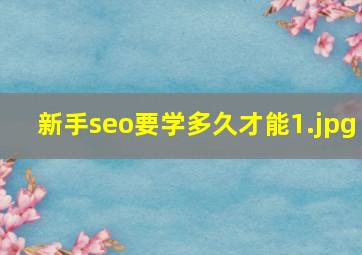 新手seo要学多久才能