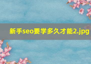 新手seo要学多久才能