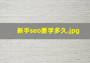 新手seo要学多久