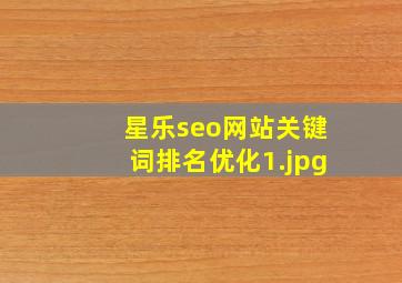 星乐seo网站关键词排名优化