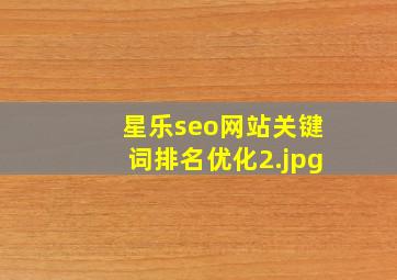 星乐seo网站关键词排名优化
