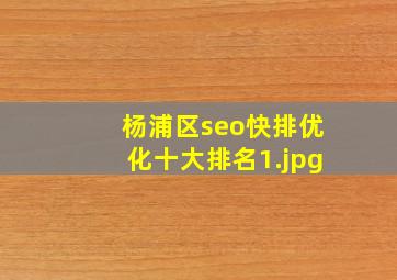 杨浦区seo快排优化十大排名