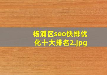 杨浦区seo快排优化十大排名