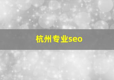杭州专业seo