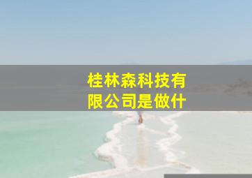 桂林森科技有限公司是做什