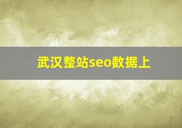 武汉整站seo数据上