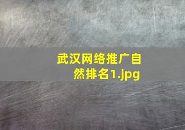 武汉网络推广自然排名