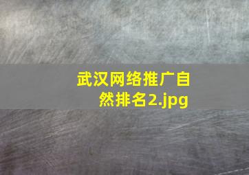 武汉网络推广自然排名