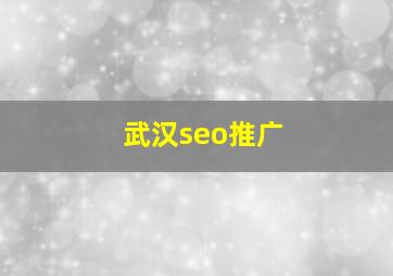 武汉seo推广