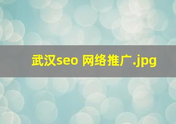 武汉seo 网络推广