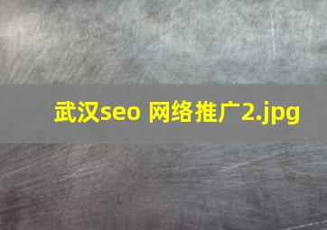 武汉seo 网络推广