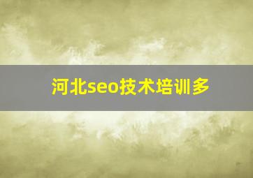 河北seo技术培训多