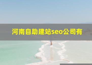 河南自助建站seo公司有