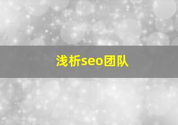 浅析seo团队