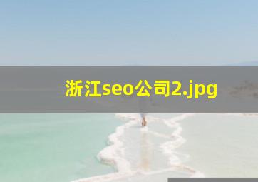 浙江seo公司