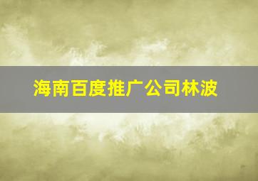 海南百度推广公司林波