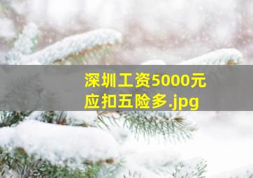 深圳工资5000元应扣五险多