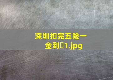 深圳扣完五险一金到�