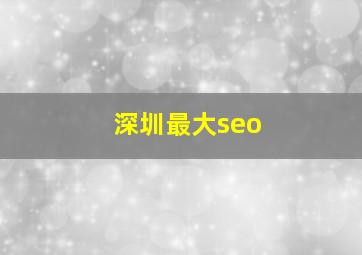 深圳最大seo