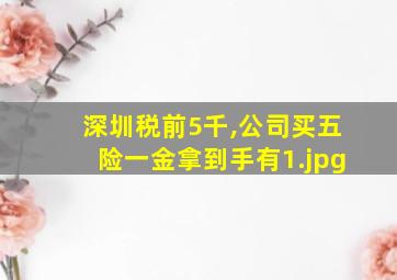深圳税前5千,公司买五险一金拿到手有