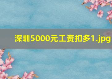 深圳5000元工资扣多